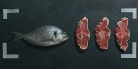 Olika sorters kött och fisk