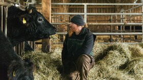 Kocken och köttexperten Ludwig Maurer och en wagyu-ko